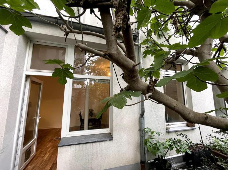 Cosy & Central Flat Near Duesseldorf Center エクステリア 写真